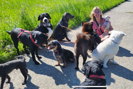 Bild von Sandra Grill